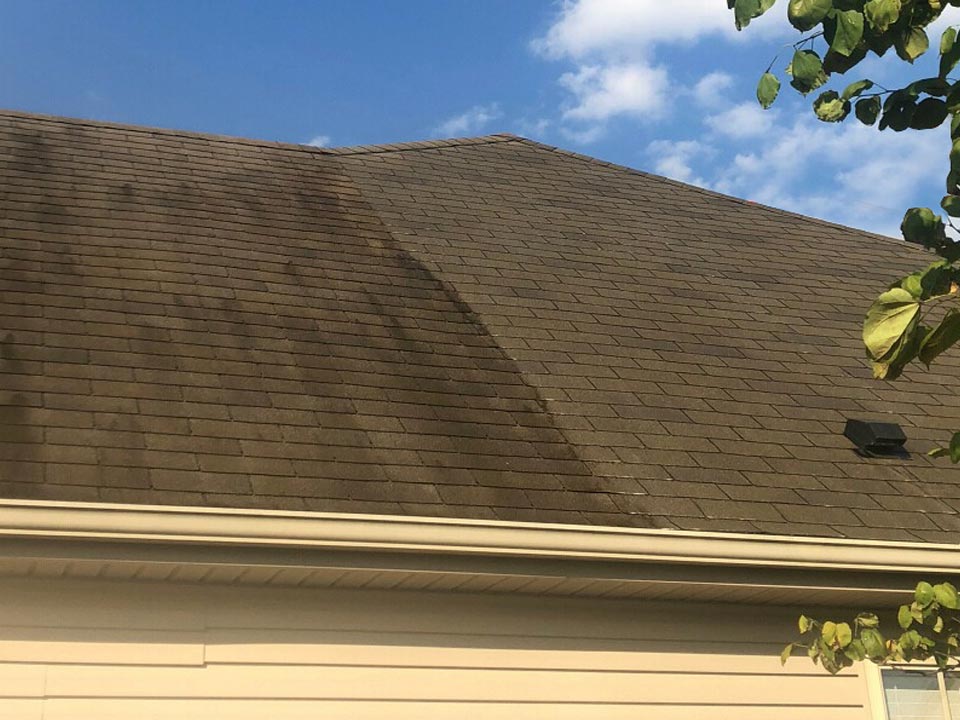 Roof Soft Wash Cleaning in Louisville KY