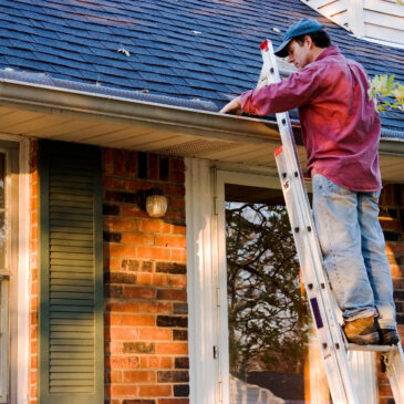 What You Need to Know About Roof Cleaning in Fall and Winter