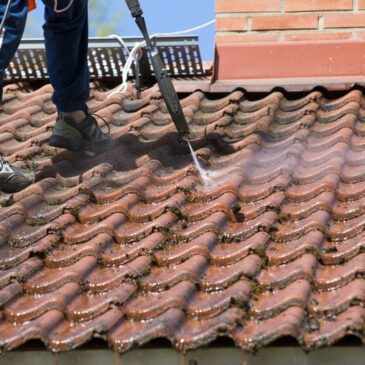 The Telltale Signs You Need Professional Roof Cleaning Services in Prospect,  KY