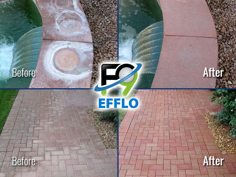 Before & after images showing stained & cleaned pool apron, stained & cleaned brick pavers, and an F9 logo for Calcium Stain Removal service in Louisville KY.
