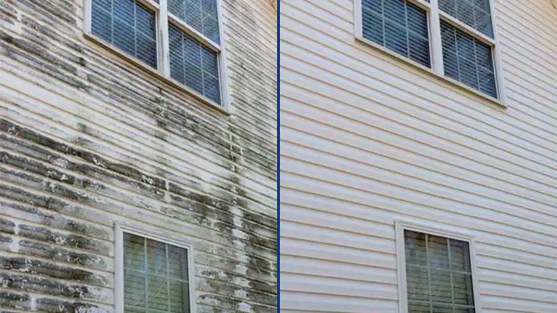 A split image before & after comparison of residential vinyl siding covered in mold growth and made perfectly clean by HurriClean's House Soft Washing service in the Mt. Washington, Taylorsville, Sellersburg, KY area.